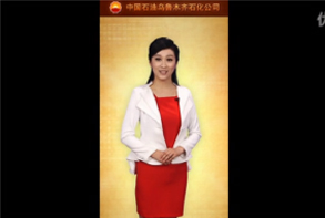 《乌石化简介》