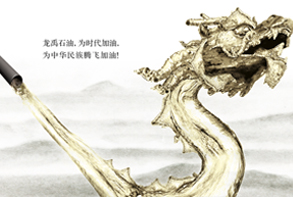 龙禹石化宣传册